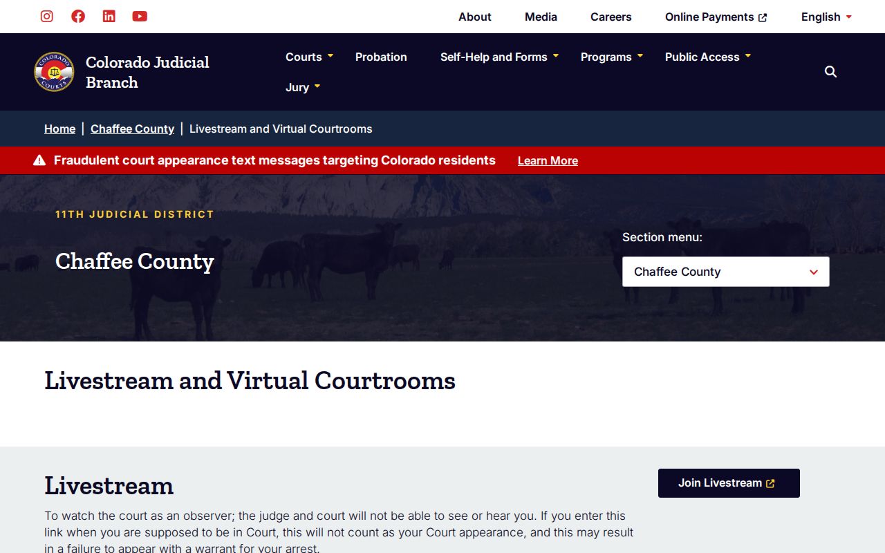 Virtual appearance limits for Salida warrant matters