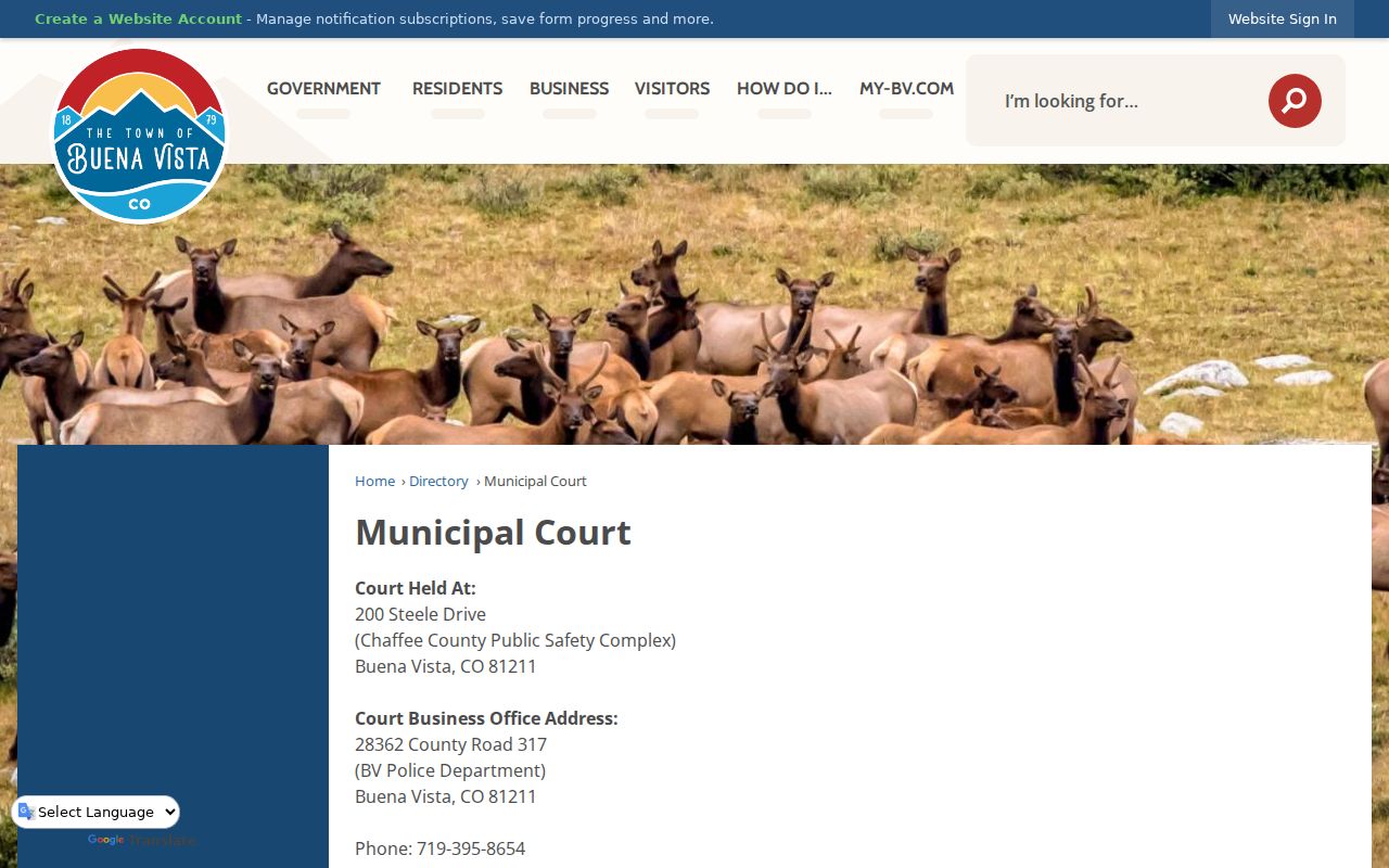 Buena Vista municipal court directory illustrating a separate city court channel from Poncha Springs